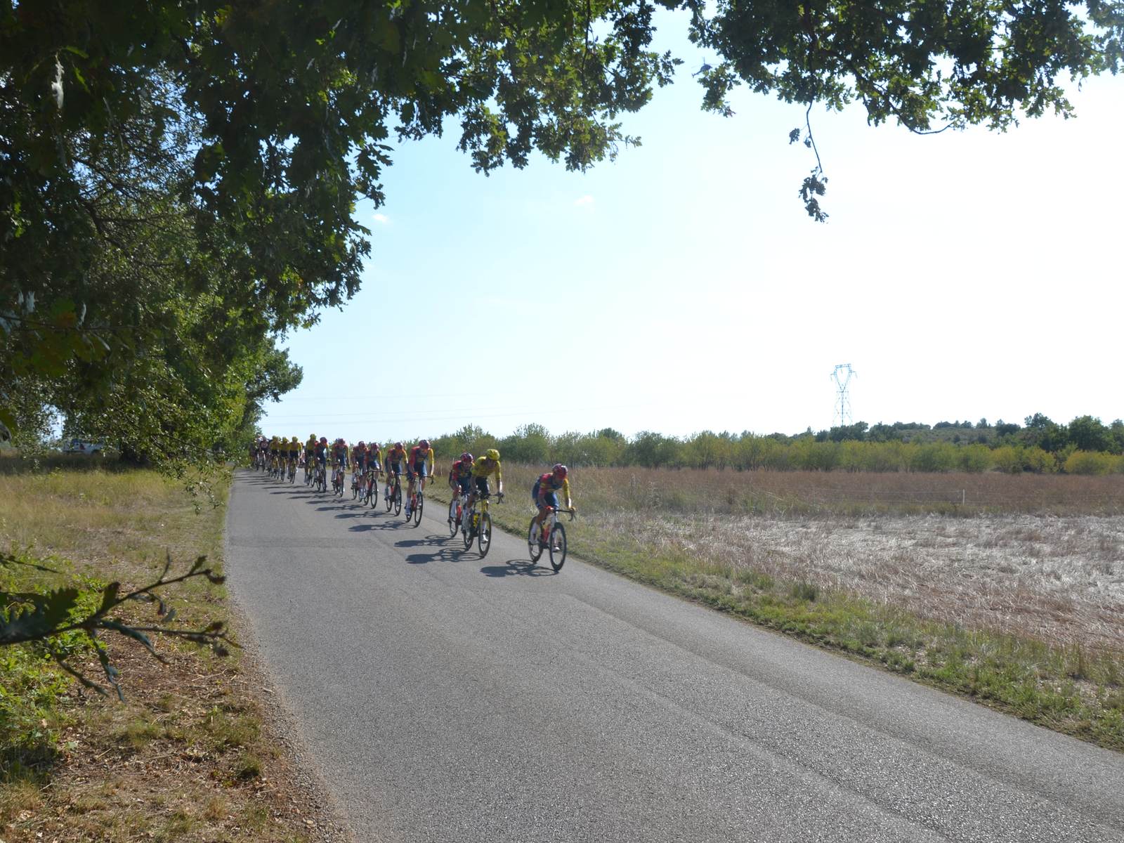 Foto d'arxiu: gran grup de La Vuelta 2026 en carretera durant la segona etapa de l'edició 2026